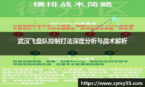 武汉飞盘队控制打法深度分析与战术解析