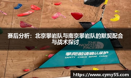 赛后分析：北京攀岩队与南京攀岩队的默契配合与战术探讨
