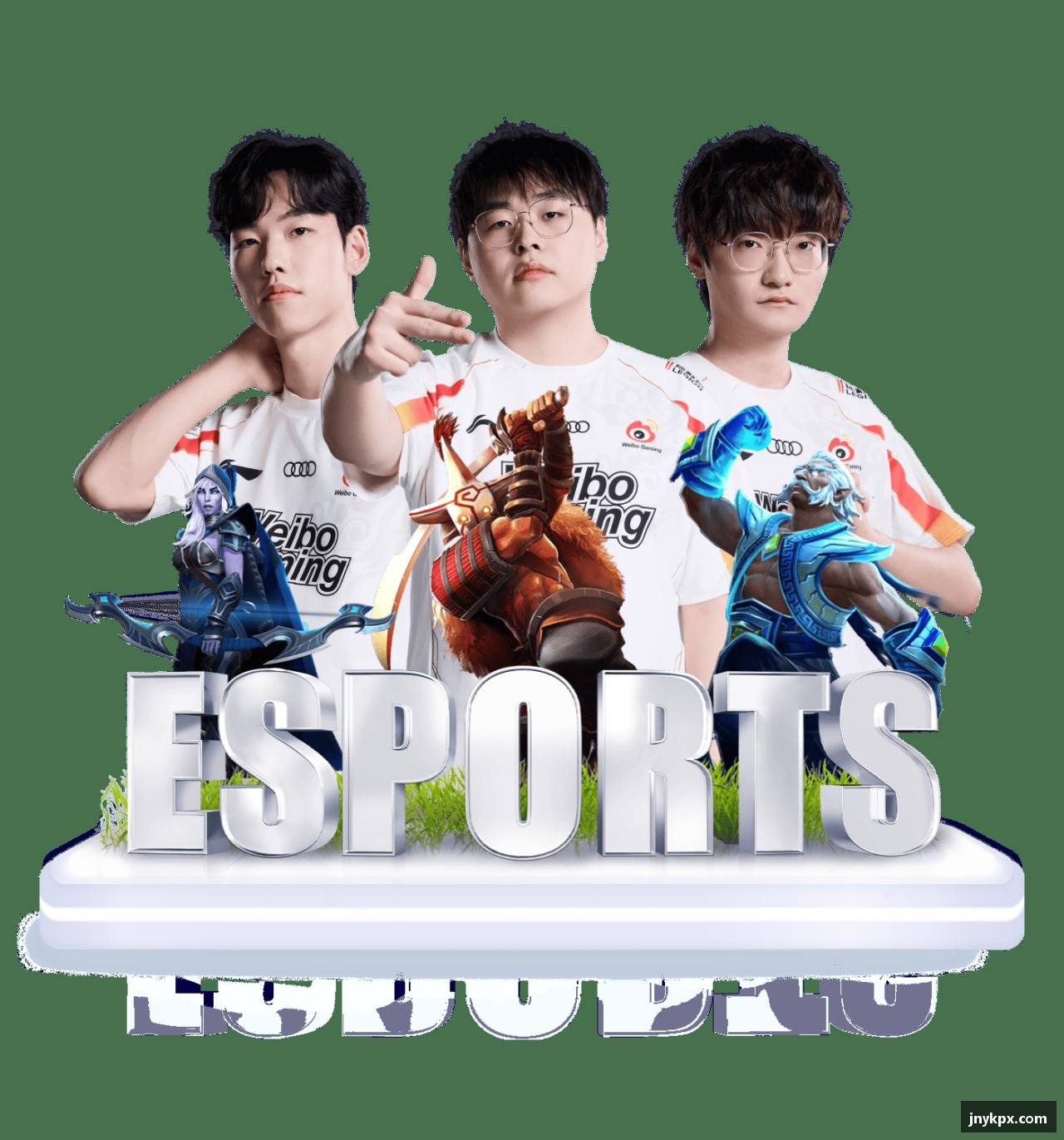 关于vsport